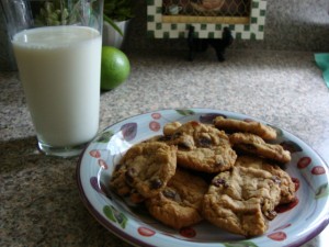 chocolate chip cookies, about 6, on a plate with a glass of milk to the left, all on a counter.